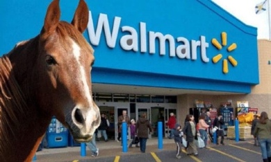 walmart horse